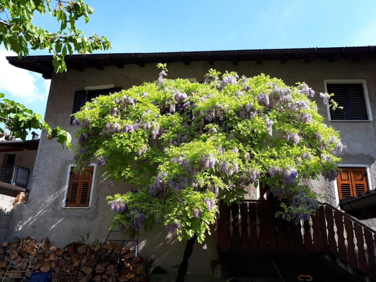 Rovere della LunaCasa Romyアパートメント エクステリア 写真